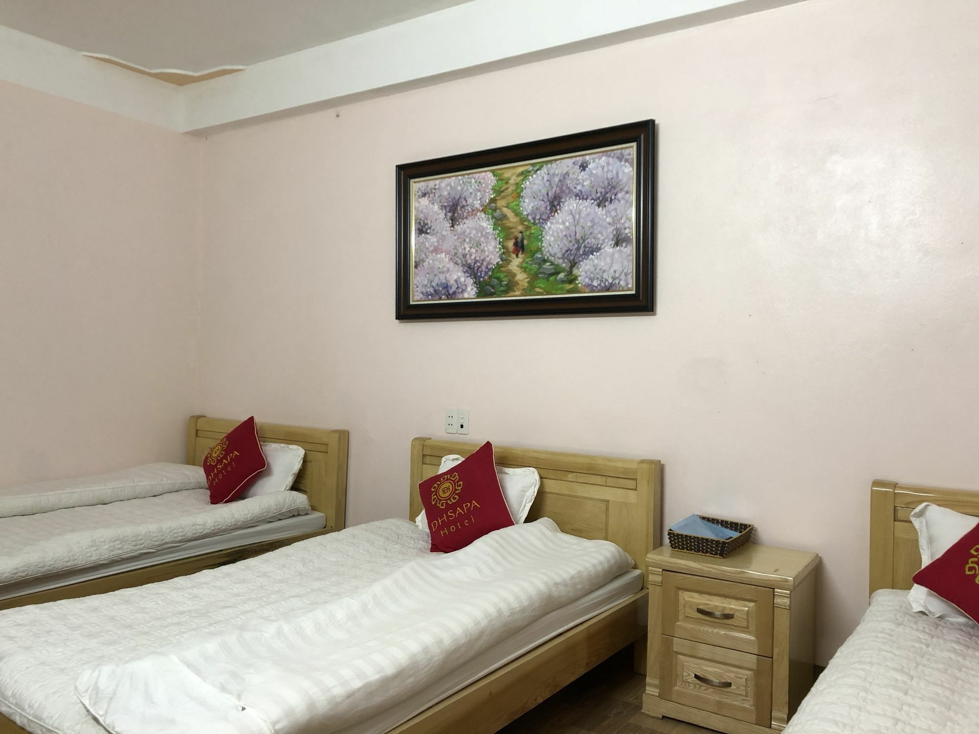 Dh Sa Pa Hotel Kültér fotó